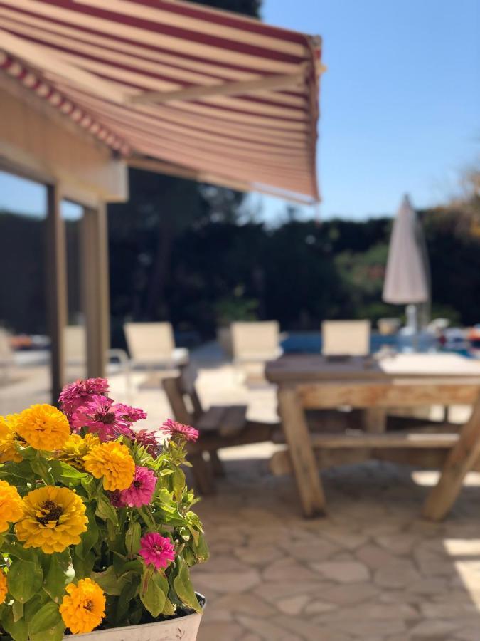 Le Paradis D'Anny Rouffiac-d'Aude ภายนอก รูปภาพ