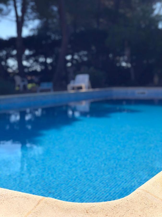 Le Paradis D'Anny Rouffiac-d'Aude ภายนอก รูปภาพ